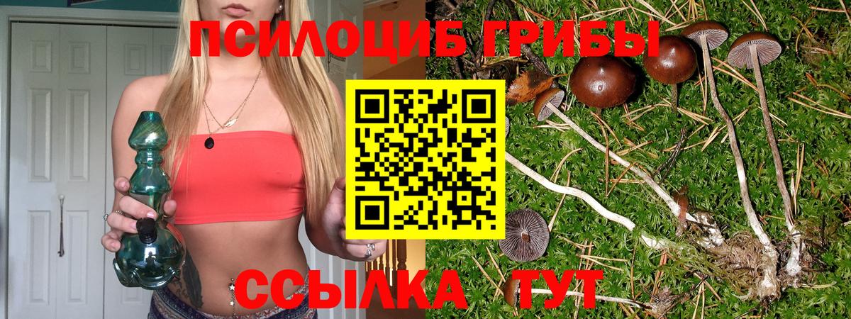 Галлюциногенные грибы Cubensis Сунжа