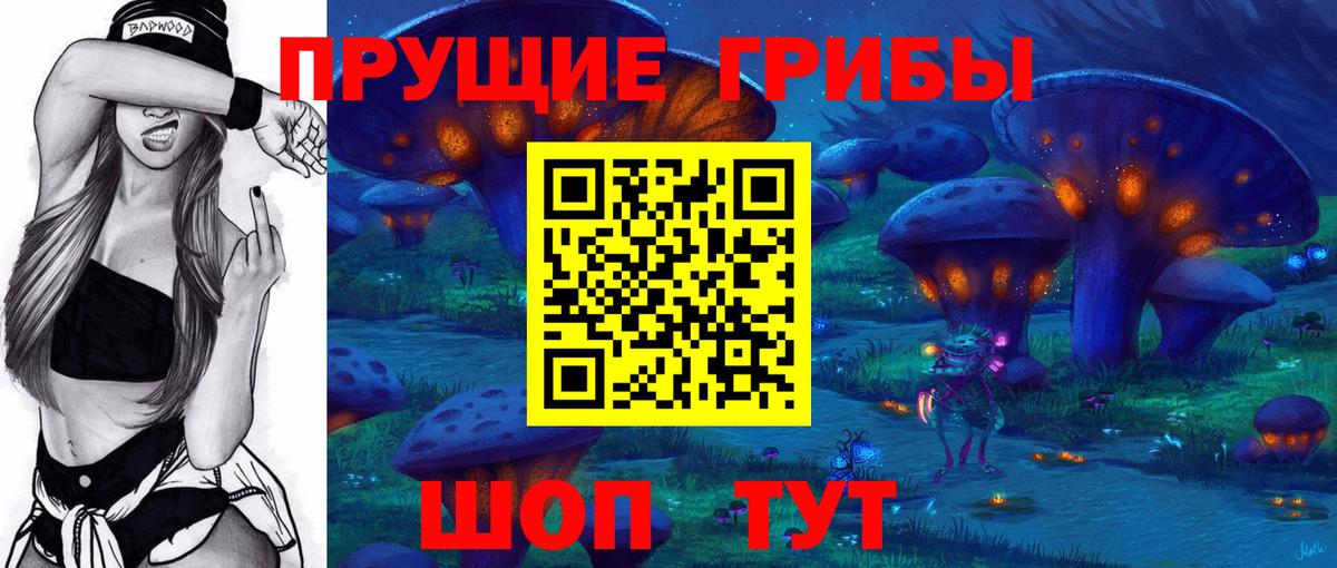 Сунжа  купить наркотики сайты  Вход с VPN  Галлюциногенные грибы GOLDEN TEACHER 